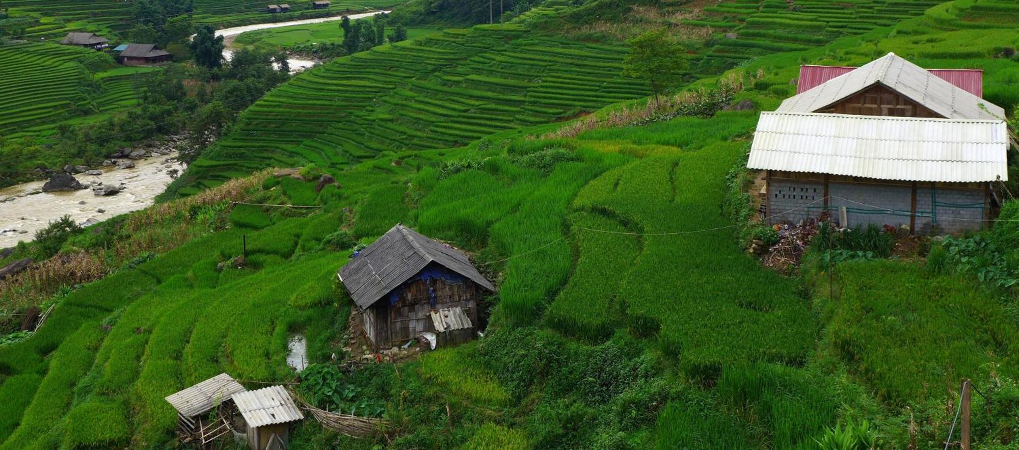Freedom Homestay & Trekking Sapa Eksteriør billede