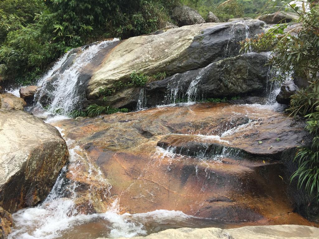 Freedom Homestay & Trekking Sapa Eksteriør billede