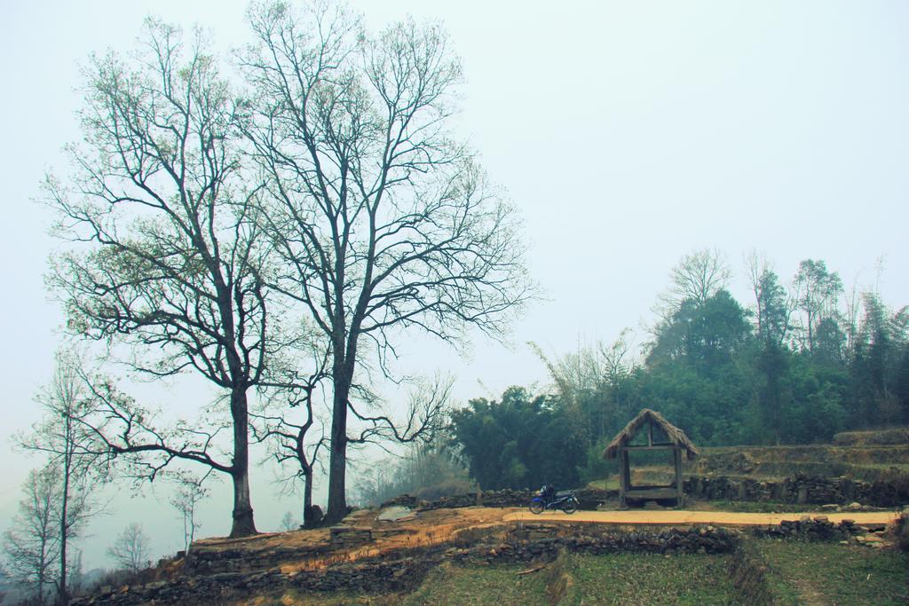 Freedom Homestay & Trekking Sapa Eksteriør billede