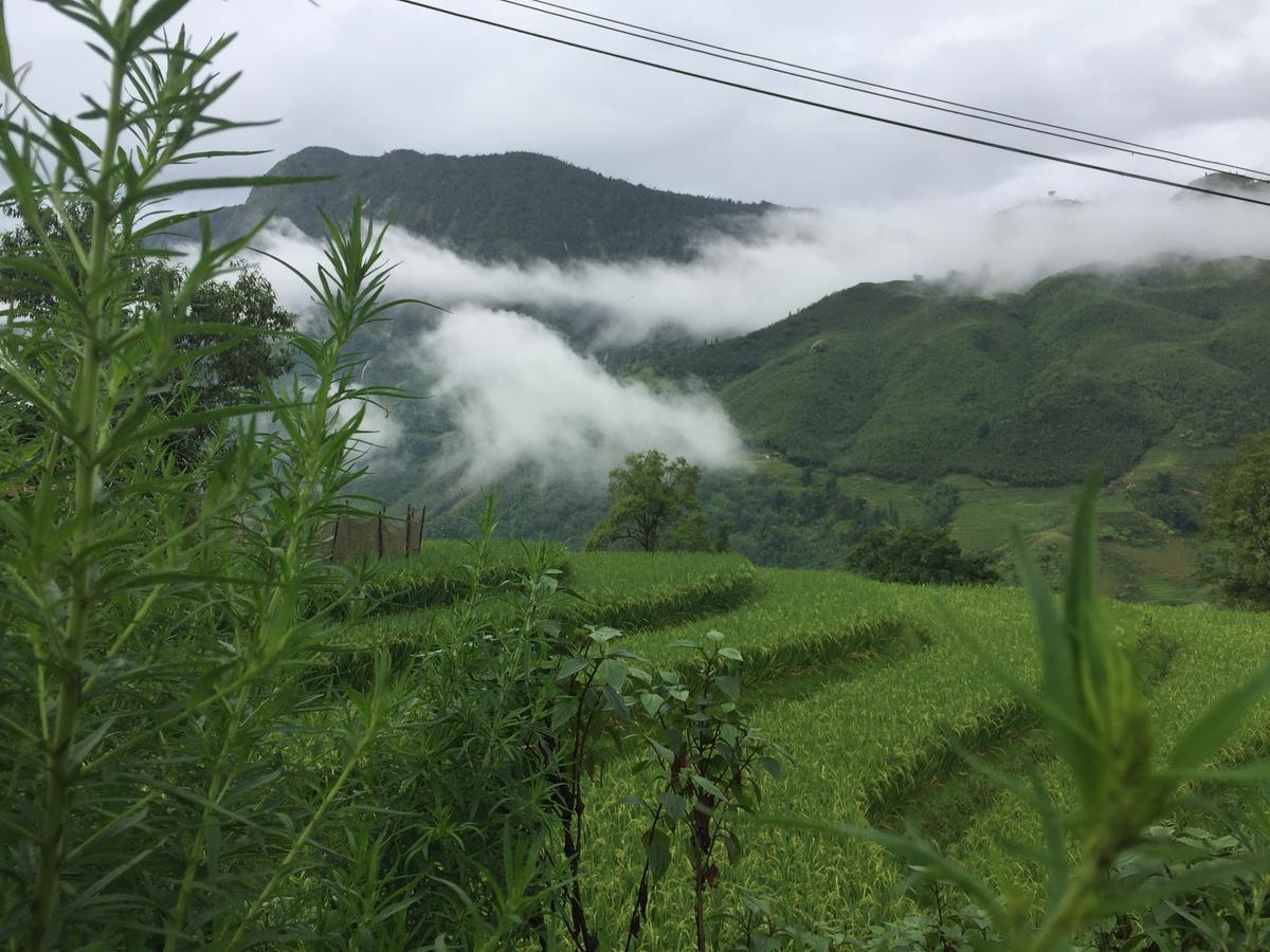 Freedom Homestay & Trekking Sapa Eksteriør billede