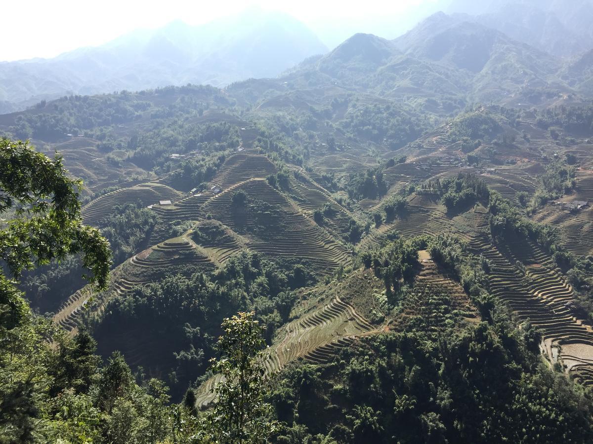 Freedom Homestay & Trekking Sapa Eksteriør billede
