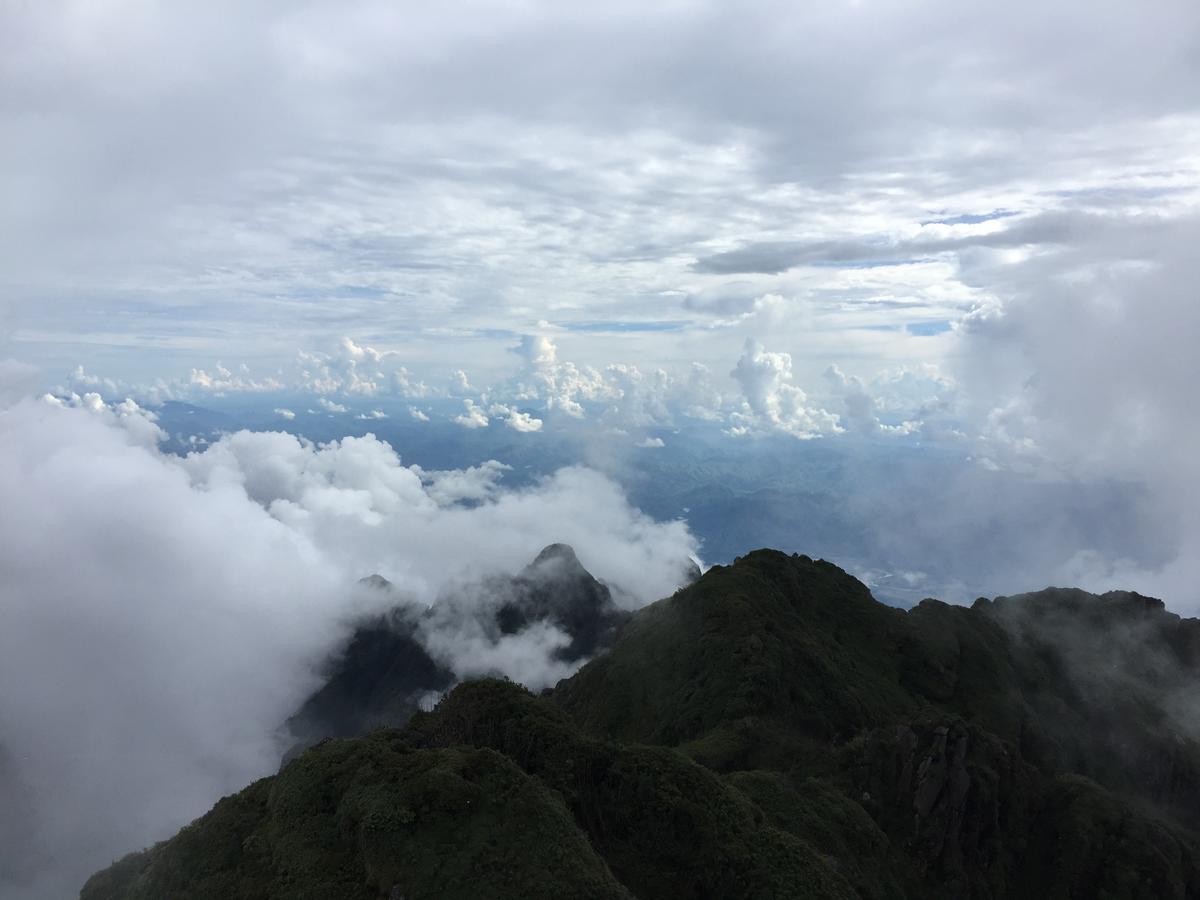 Freedom Homestay & Trekking Sapa Eksteriør billede